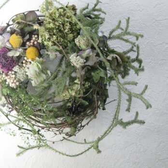 6月の鳥の巣wreathの画像