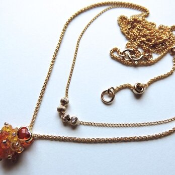 『 The four elements/fire-RH 』Necklace by K14GFの画像