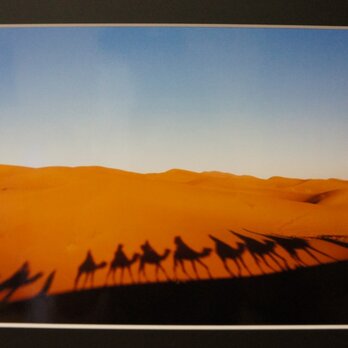 世界一周フォトコレクション〜サハラ砂漠〜の画像