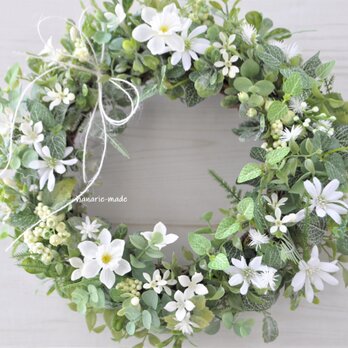 再販　 白い花とグリーンのリース　初春の頃に：水仙　白　緑　リボンの画像