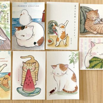 猫のポストカード：夏：お得８枚セットの画像