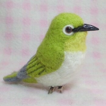 メジロ 目白 めじろ 野鳥☆マグネット/ブローチどちらか選択 羊毛フェルト　受注作成の画像