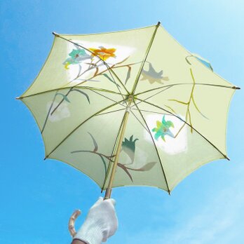 パラソル　笹百合