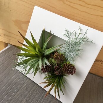 フレームインテリア・スクエア大【造花】壁掛け観葉植物の画像