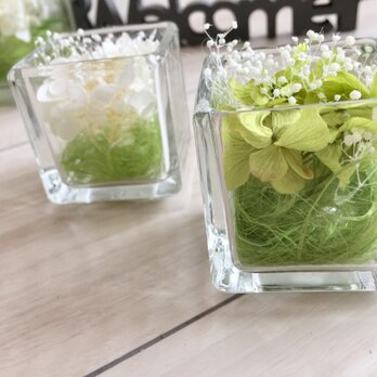 glass cube hydrangeaの画像