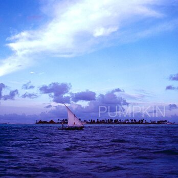 夕暮れの帆掛船　　PH-A4-023    　A4    写真 　モルジブ　南国　インド洋　ヤシの木　青い海の画像