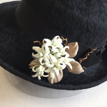 モコモコ白い花