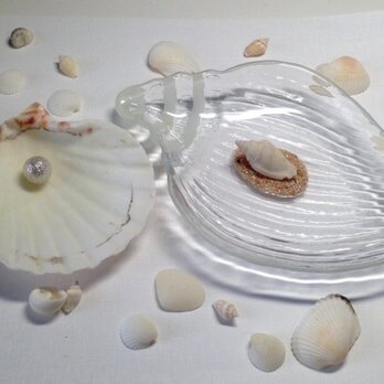ガラスの小物入れトレー＆貝殻の画像