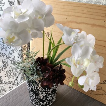 オシャレな胡蝶蘭のインテリア【造花】オープン祝の画像