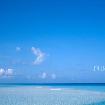 水平線と白鷺-Ⅱ　　PH-A4-029    写真 　水平線　モルジブ　インド洋　南国　ブルーラグーン   白い砂　砂浜の画像