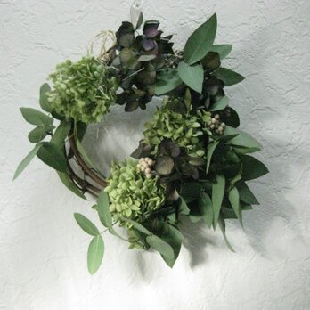 green-summer-wreath(a)の画像