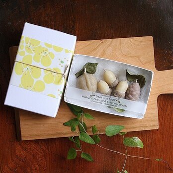 ミツロウ100％　木の実キャンドル　GIFT　（白いお箱タイプ）