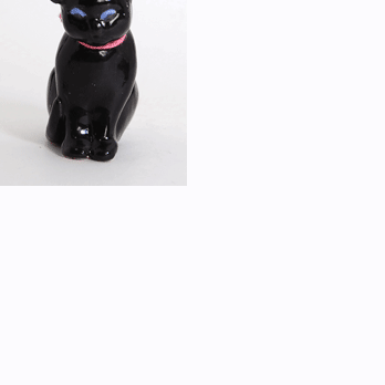 黒猫ー見つめるの画像