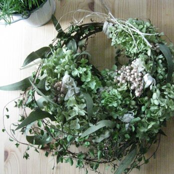 アナベルのsummer-wreathの画像