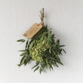 スワッグアナベル　Ｓ-107