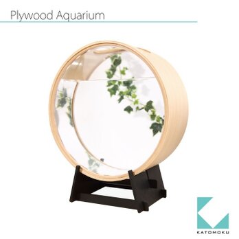 KATOMOKU plywood aquarium　km-51の画像