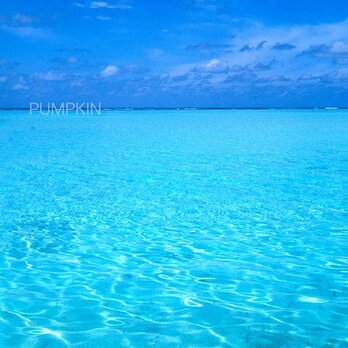 モルディブの渚-Ⅰ 　PH-A4-050  モルディブ　水中　碧い海　海　オーシャン　浅瀬　渚の画像