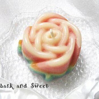 rainbow roseの画像