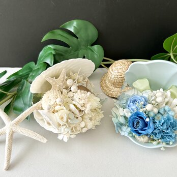 Summer shell arrange 2setの画像