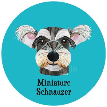 ミニチュア・シュナウザー２《犬種名ステッカー/小型犬》の画像