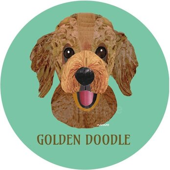 ゴールデン・ドゥードゥル《犬種名ステッカー/大型犬》の画像