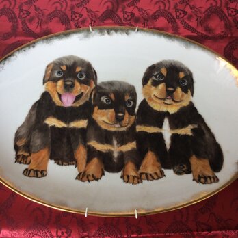 ロットワイラーの子犬の絵皿の画像
