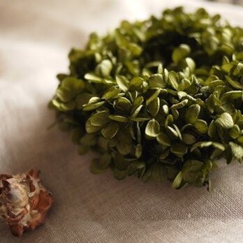 あじさいリースＳ（オリーブグリーン）