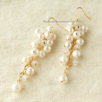 Pierces or Earrings　淡水パール（P0773）の画像