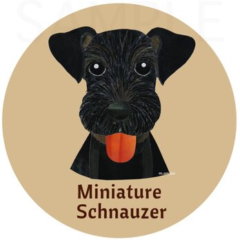 ミニチュア・シュナウザー黒《犬種名ステッカー/小型犬》の画像