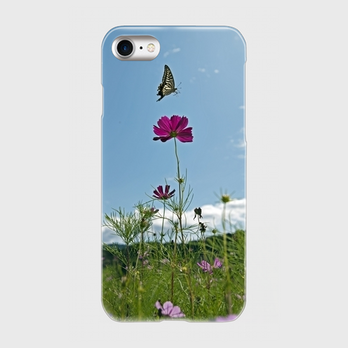 花と蝶の画像
