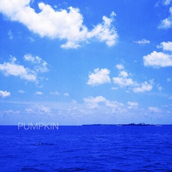 モルディブの白い雲と水平線-Ⅱ 　PH-A4-079     モルディブ　白い雲　碧い海　海　オーシャン　コバルトブルーの画像