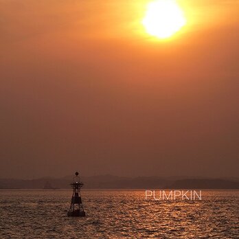 夕日に染まるライトブイ 　PH-A4-081    灯浮標　航路標識　東京湾　港湾　ブイの画像