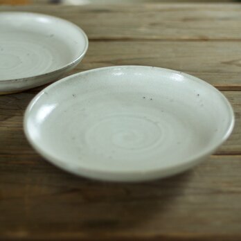 なます皿（６寸/白）