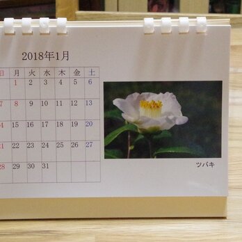 2018年版　卓上カレンダー（季節の花々１）の画像