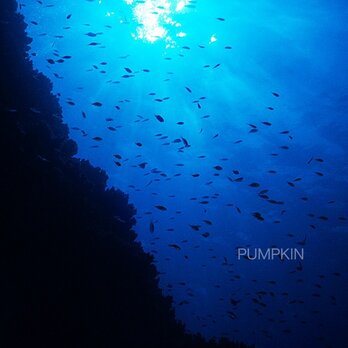 陽光-Ⅱ 　PH-A4-087   小笠原　世界遺産　水中　碧い海　海　オーシャン　小魚　の画像