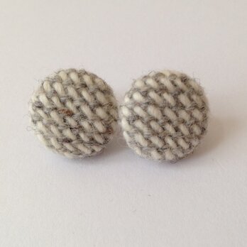 挿し色 イヤリング Q