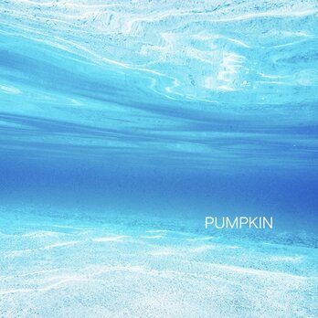渚-Ⅳ 　PH-A4-098  写真　奄美大島　水中　碧い海　海　オーシャン　砂漠　浅瀬　渚の画像