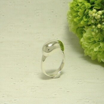 taniku ぷっくり　Ring 4