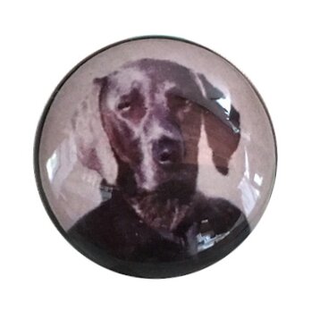 ドイツデザイン シャンクボタン ワイマラナー B-1089 犬　ドッグ ビズラ いぬの画像