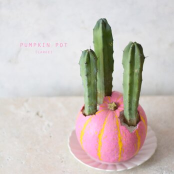 pumpkin pot（large)　ピンクの画像