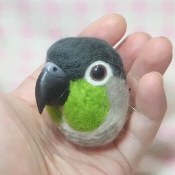 ウロコインコ☆マグネット/ブローチどちらか選択 受注作成　羊毛フェルト　羊毛インコ　メモリアル　うちの子オーダー可能の画像