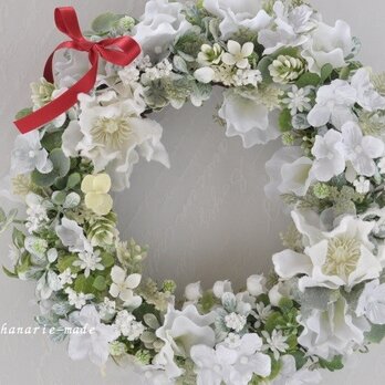 white　 frost　wreath：白いクリスマスローズの画像