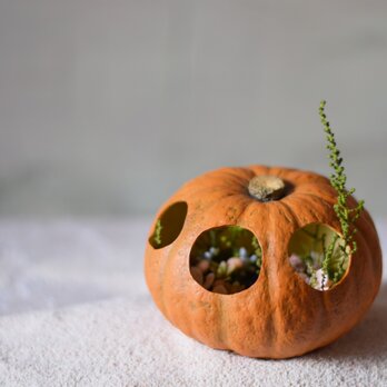 かぼちゃの中の小さな植物達の世界　(bell)の画像