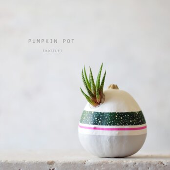 pumpkin pot　(bottle)　グリーン水玉の画像