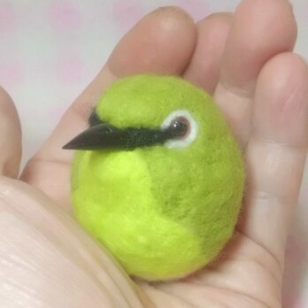 メジロ  目白☆野鳥シリーズ★マグネット/ブローチどちらか選択　羊毛の小鳥　羊毛フェルト【受注製作】の画像