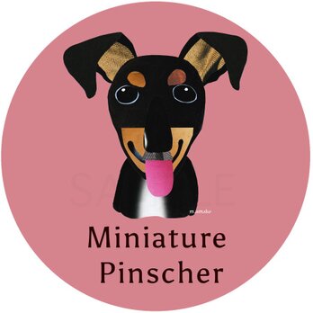 ミニチュア・ピンシャー2《犬種名ステッカー/小型犬》の画像