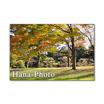 1267) 光あふれる秋の風景　　　5枚組ポストカードの画像