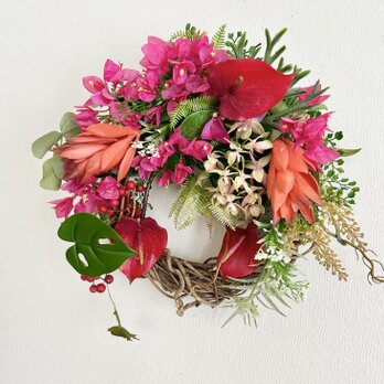 Tropical wreath VIの画像