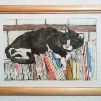 猫と本（原画）水彩・ペン画の画像