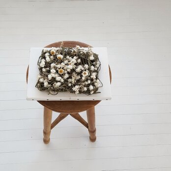 フラワーキャンパス